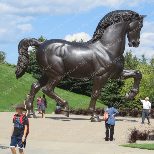 Customized Large Size Garden Outdoor Modern Casting Bronze Horse Statue